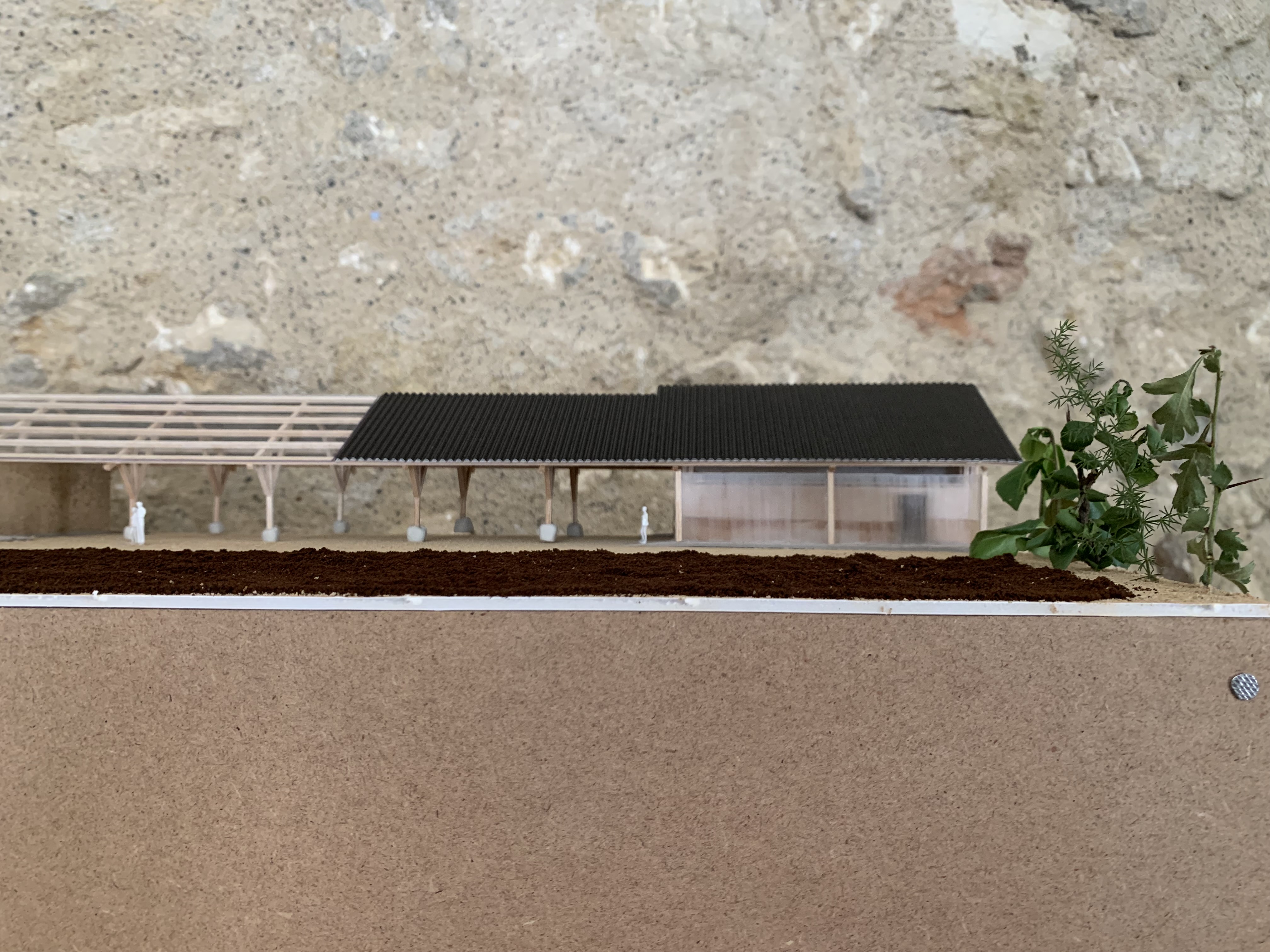 Sharing Farm — Maquette — vue latérale