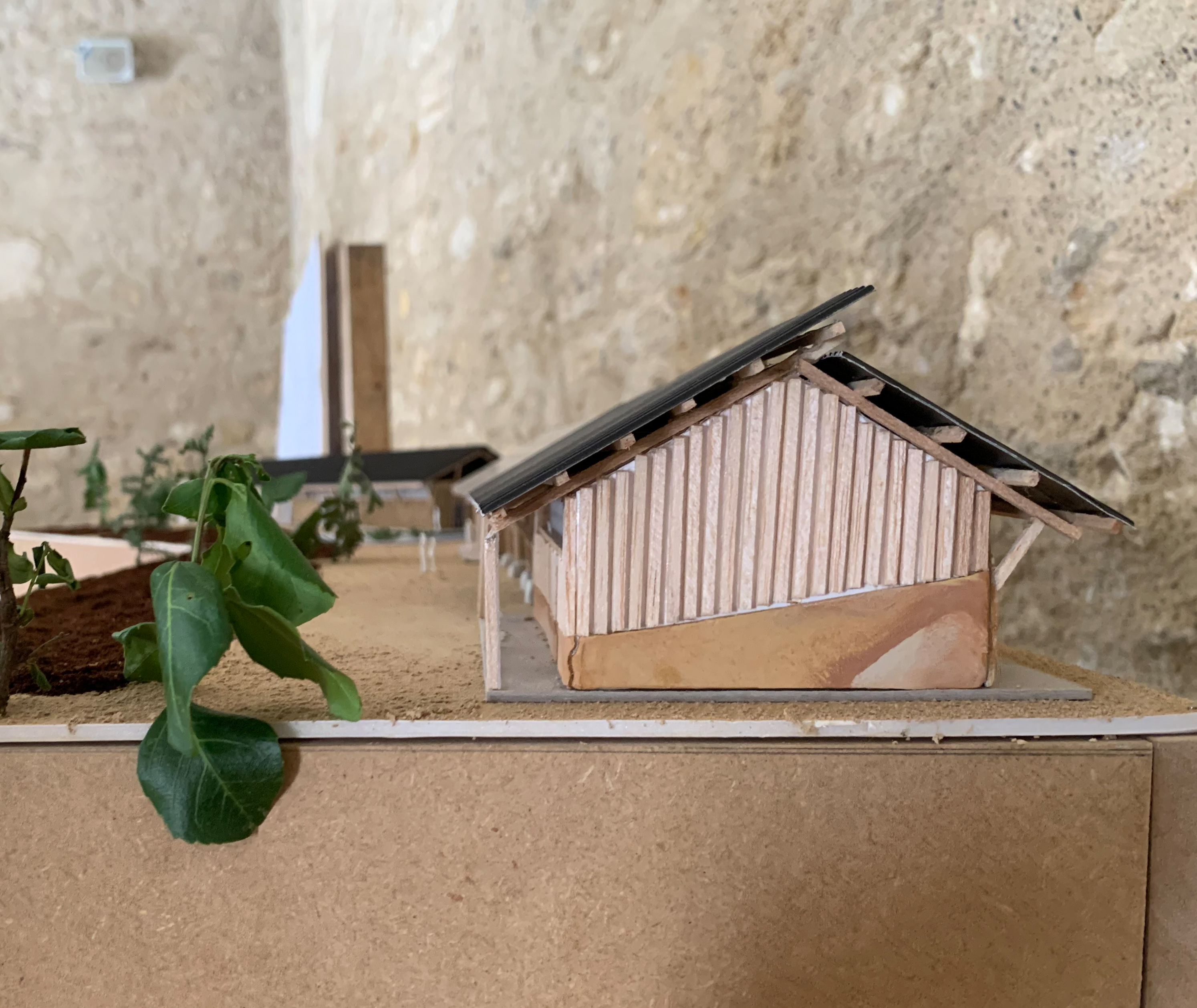 Sharing Farm — Maquette — vue en perspective